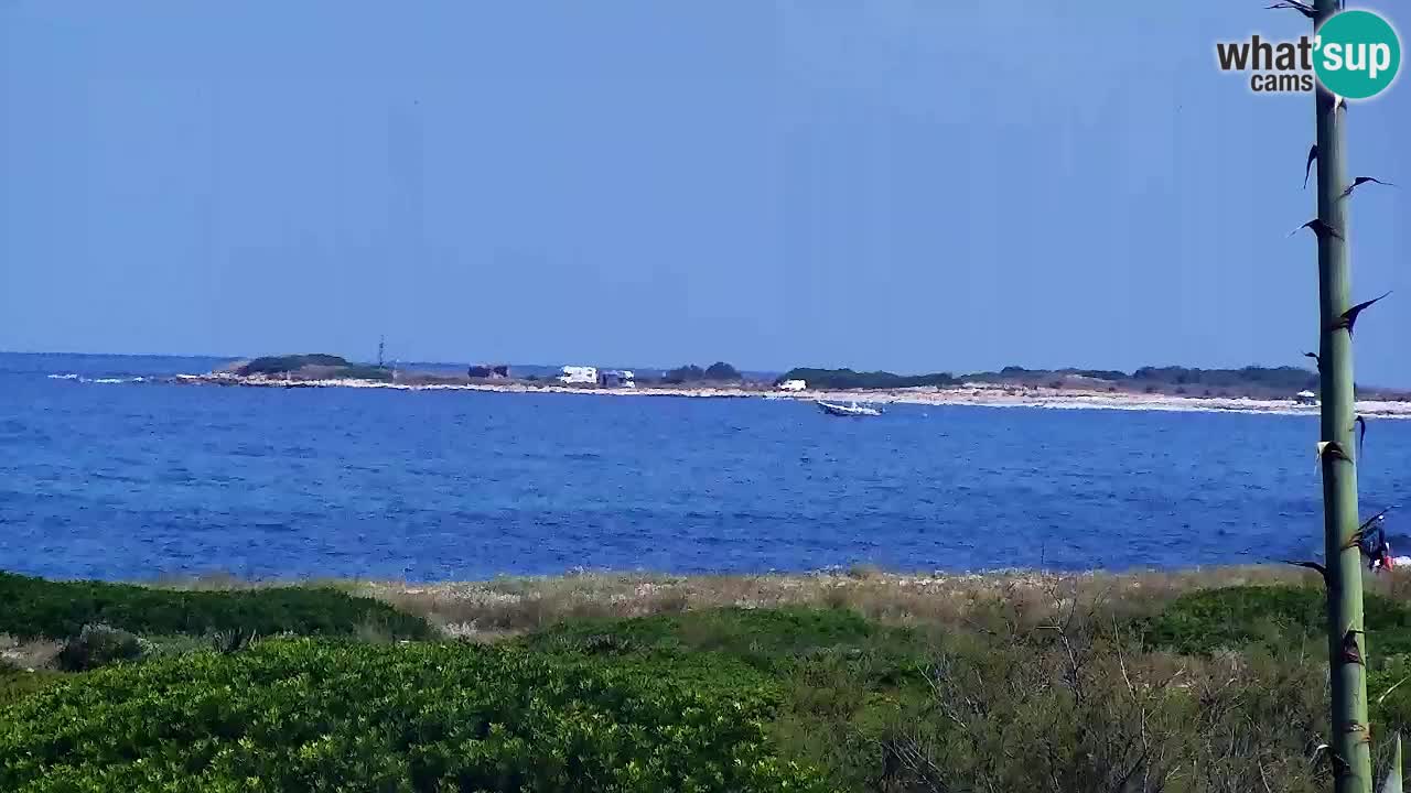 Is Arutas webcam beach | Oristano – Sardinia