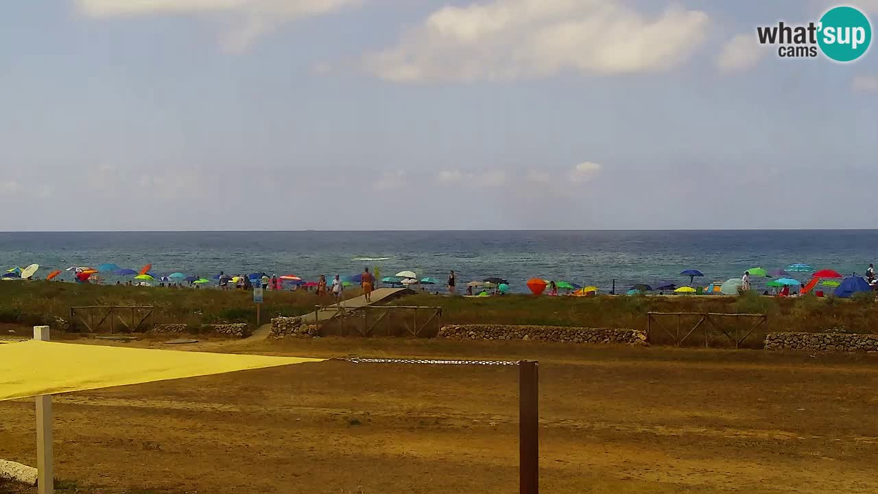 Strand Is Arutas webcam | Oristano – Sardinien