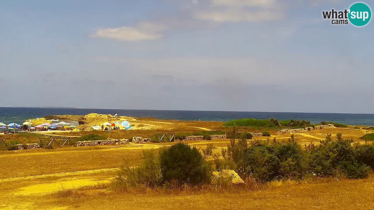 Is Arutas camera en vivo | Oristano – Cerdeña