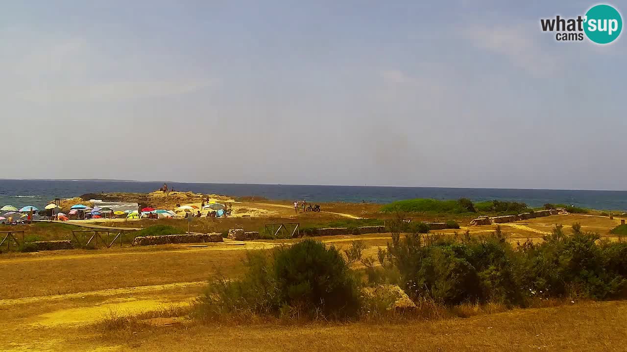 Is Arutas webcam beach | Oristano – Sardinia