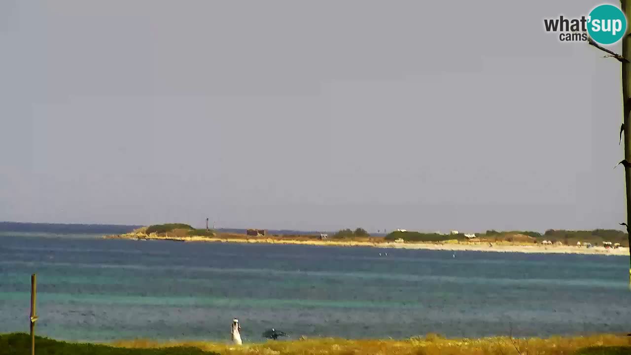 Plaža Is Arutas kamera | Oristano – Sardinija