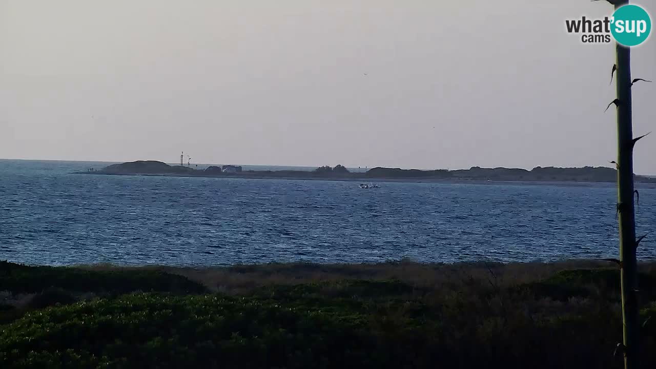 Strand Is Arutas webcam | Oristano – Sardinien