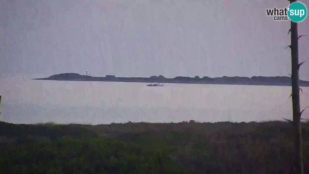 Is Arutas webcam beach | Oristano – Sardinia