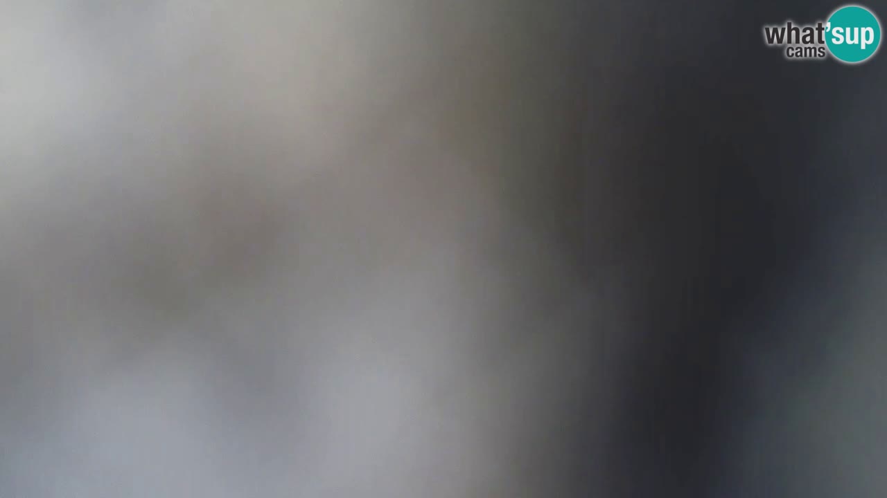 Is Arutas camera en vivo | Oristano – Cerdeña
