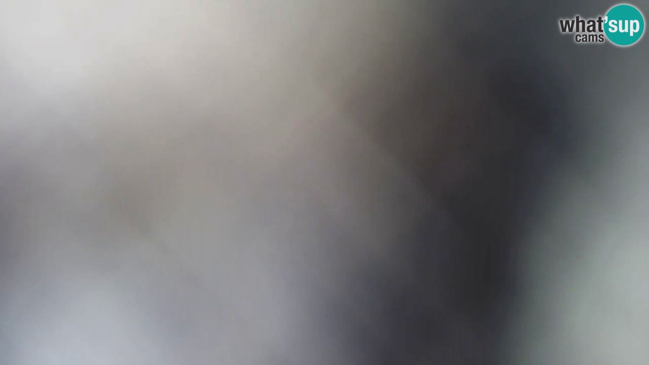 Is Arutas camera en vivo | Oristano – Cerdeña
