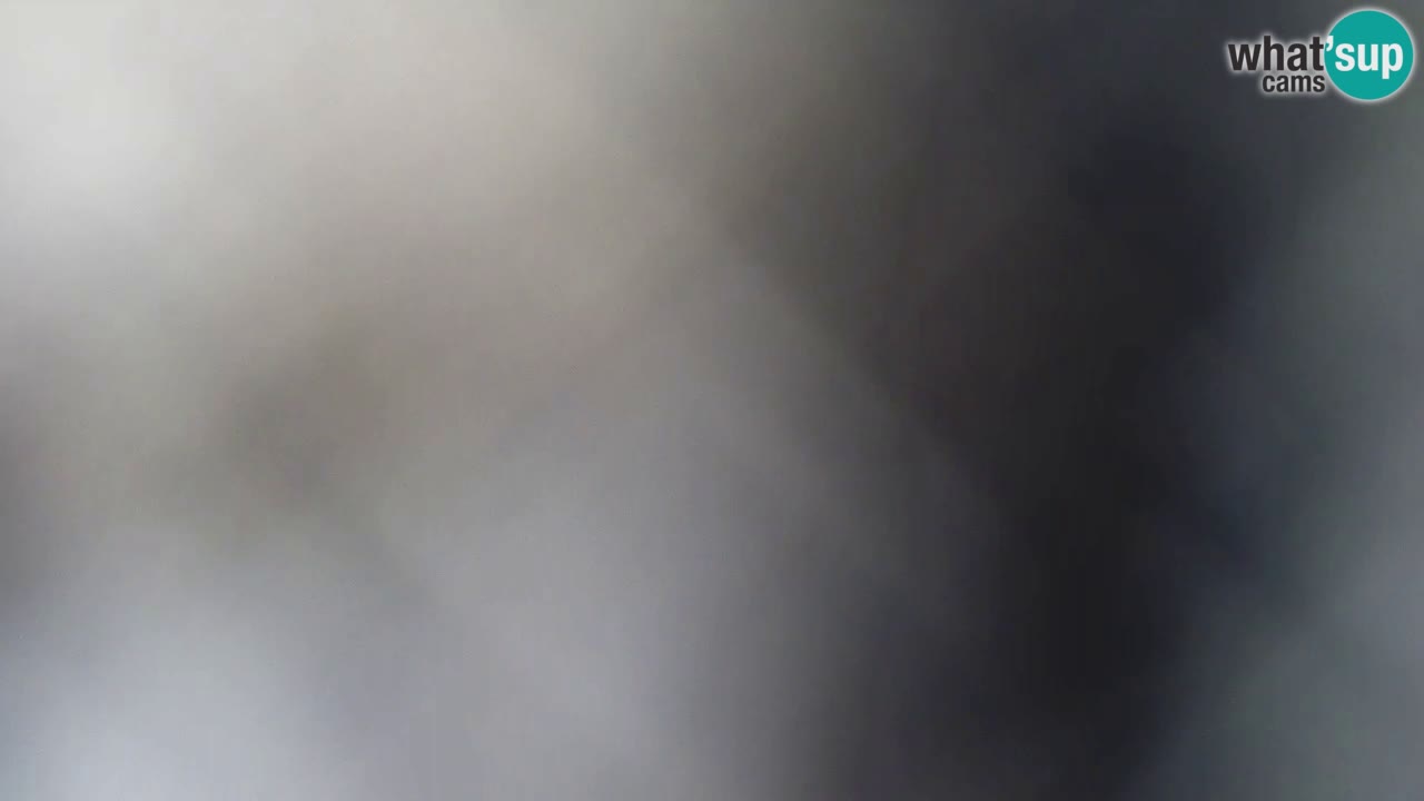 Is Arutas camera en vivo | Oristano – Cerdeña