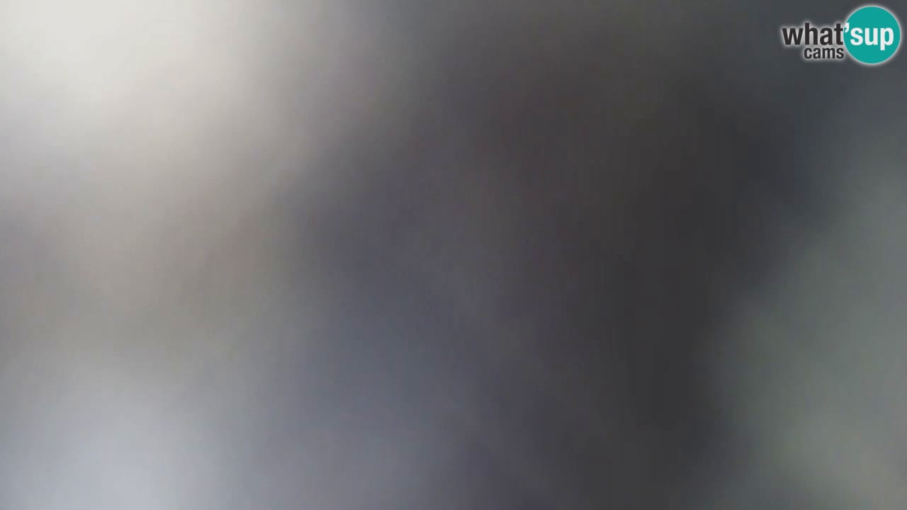 Is Arutas camera en vivo | Oristano – Cerdeña