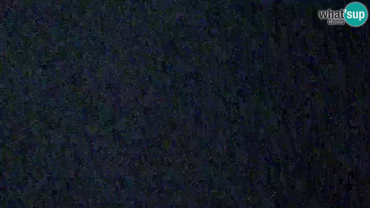 Is Arutas camera en vivo | Oristano – Cerdeña