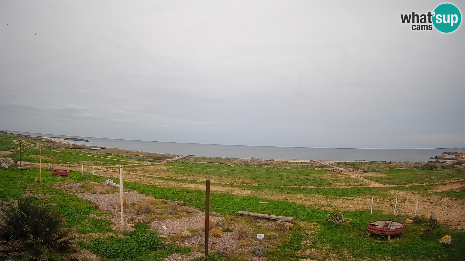 Is Arutas livecam plage | Oristano – Sardaigne