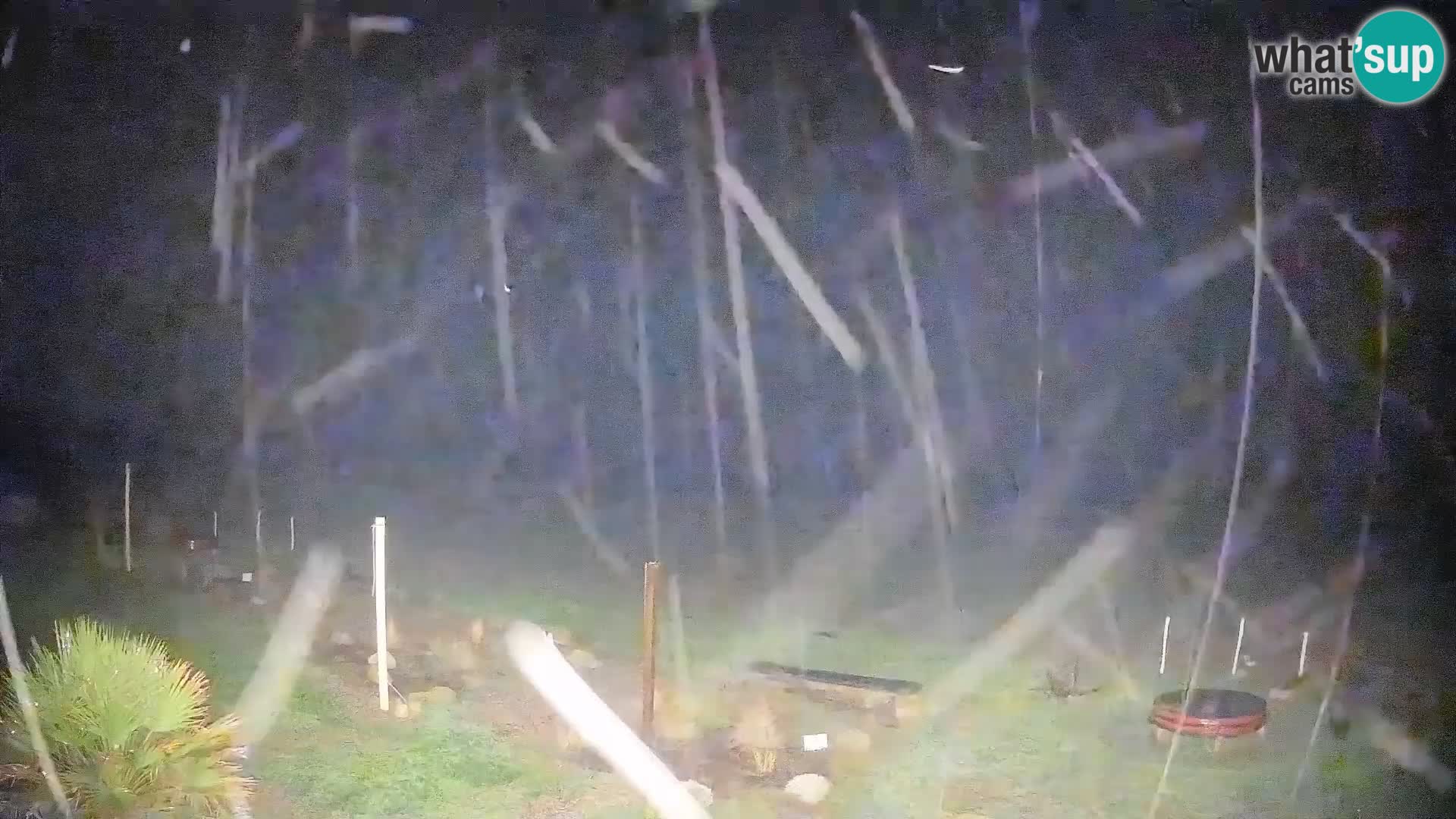 Is Arutas webcam beach | Oristano – Sardinia