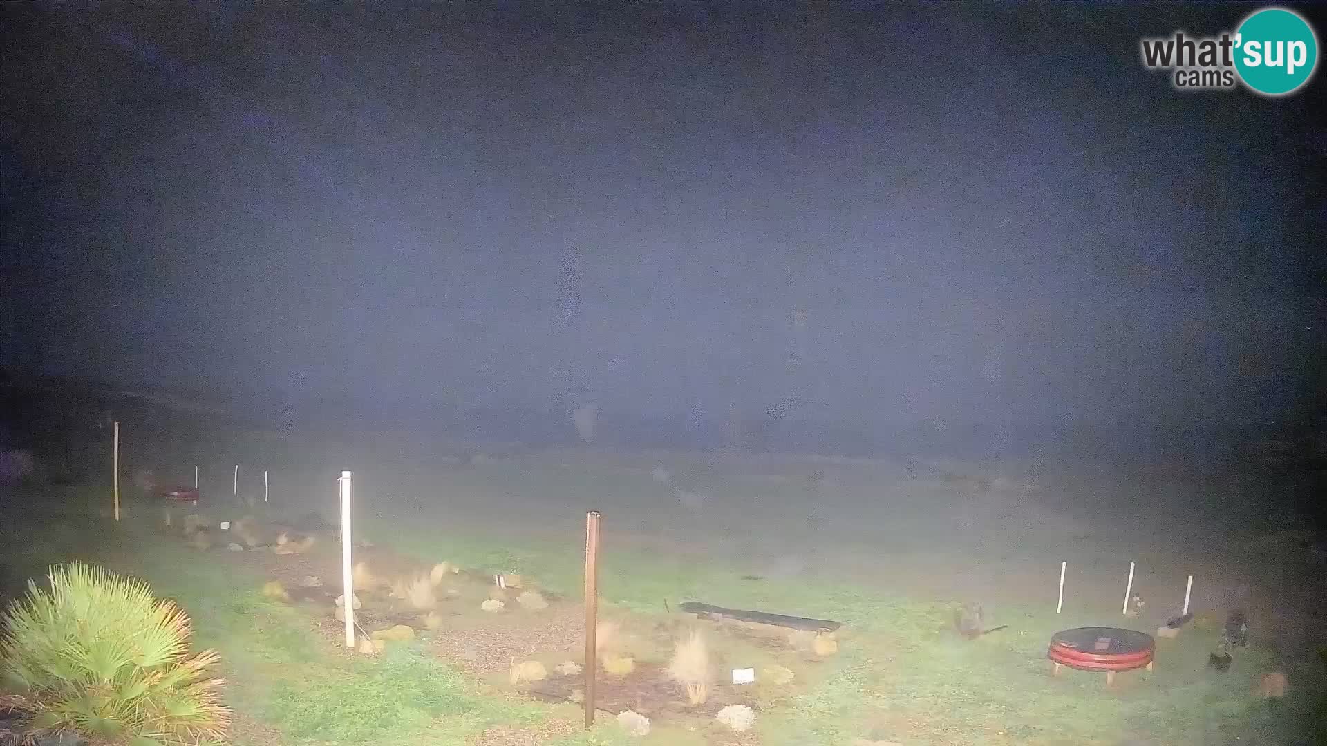 Is Arutas webcam beach | Oristano – Sardinia