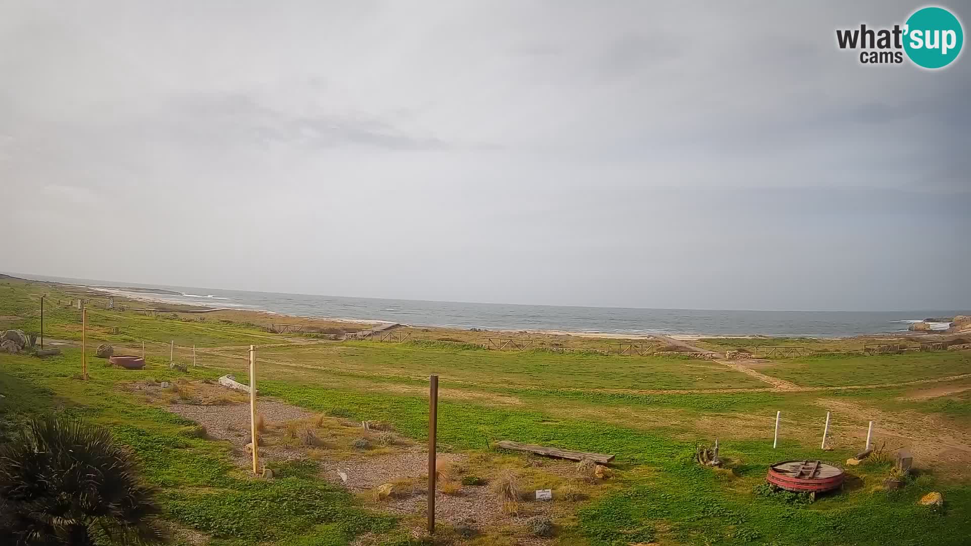 Is Arutas webcam beach | Oristano – Sardinia