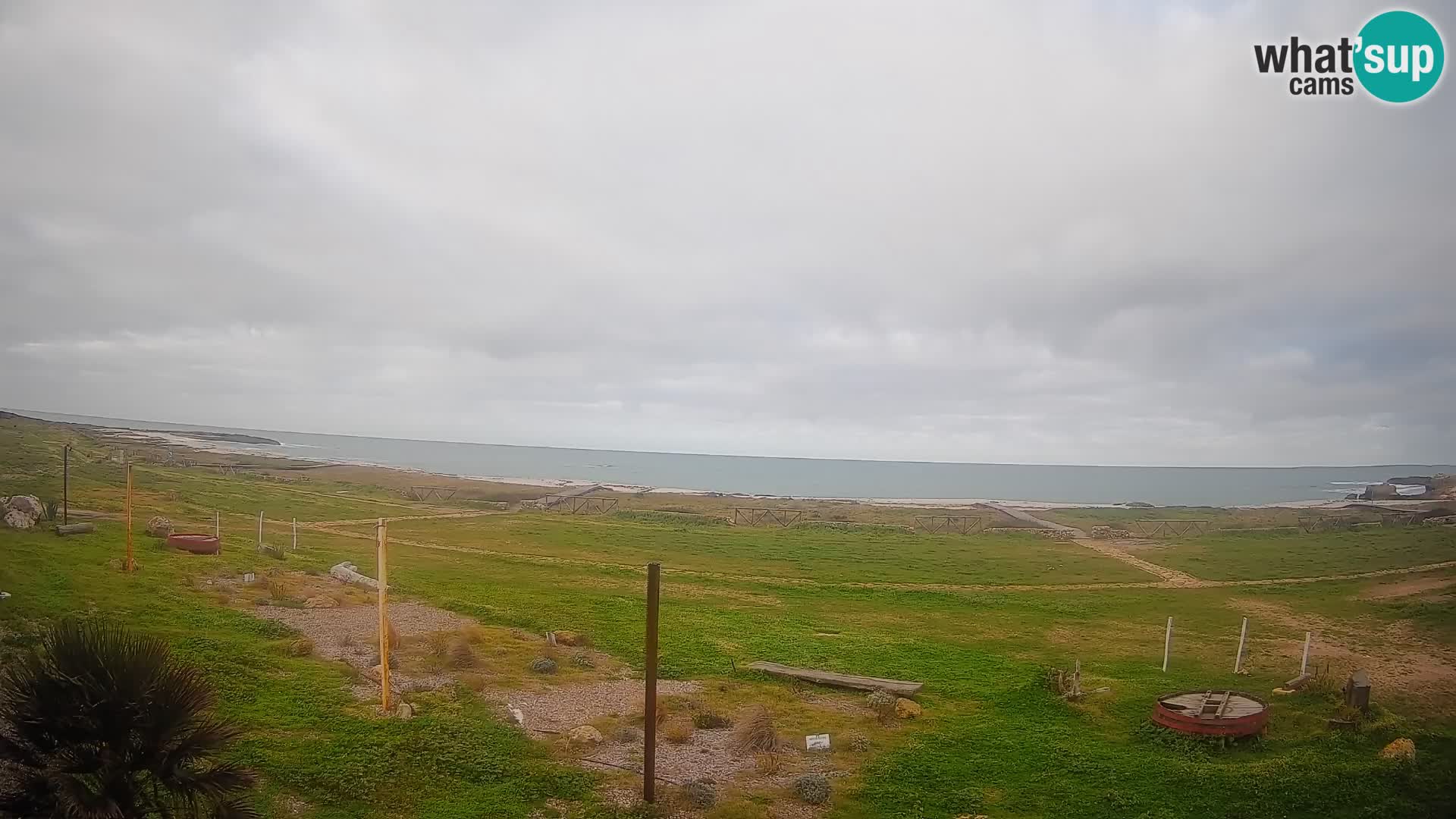 Webcam Is Arutas spiaggia | Oristano – Sardegna