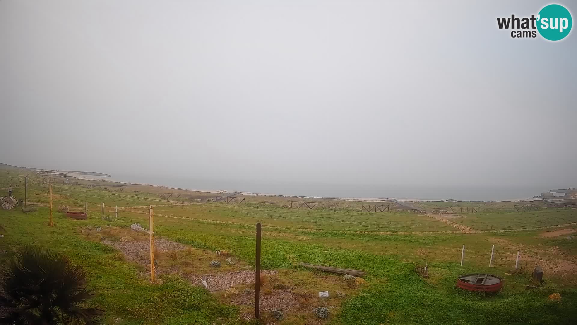 Strand Is Arutas webcam | Oristano – Sardinien