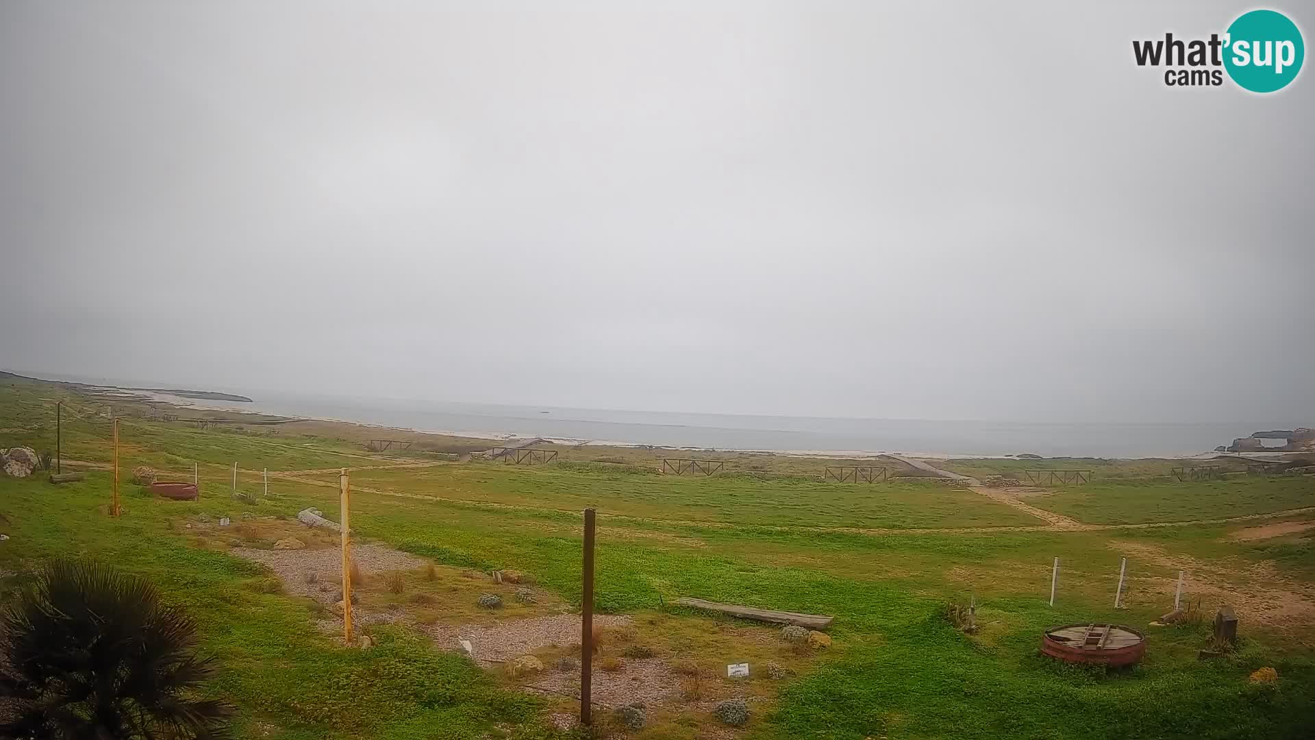 Webcam Is Arutas spiaggia | Oristano – Sardegna