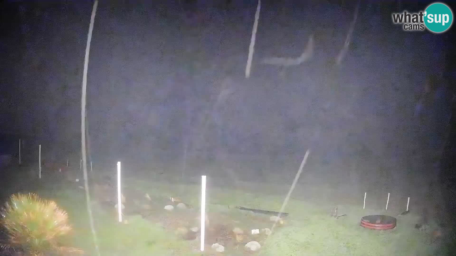 Is Arutas livecam plage | Oristano – Sardaigne