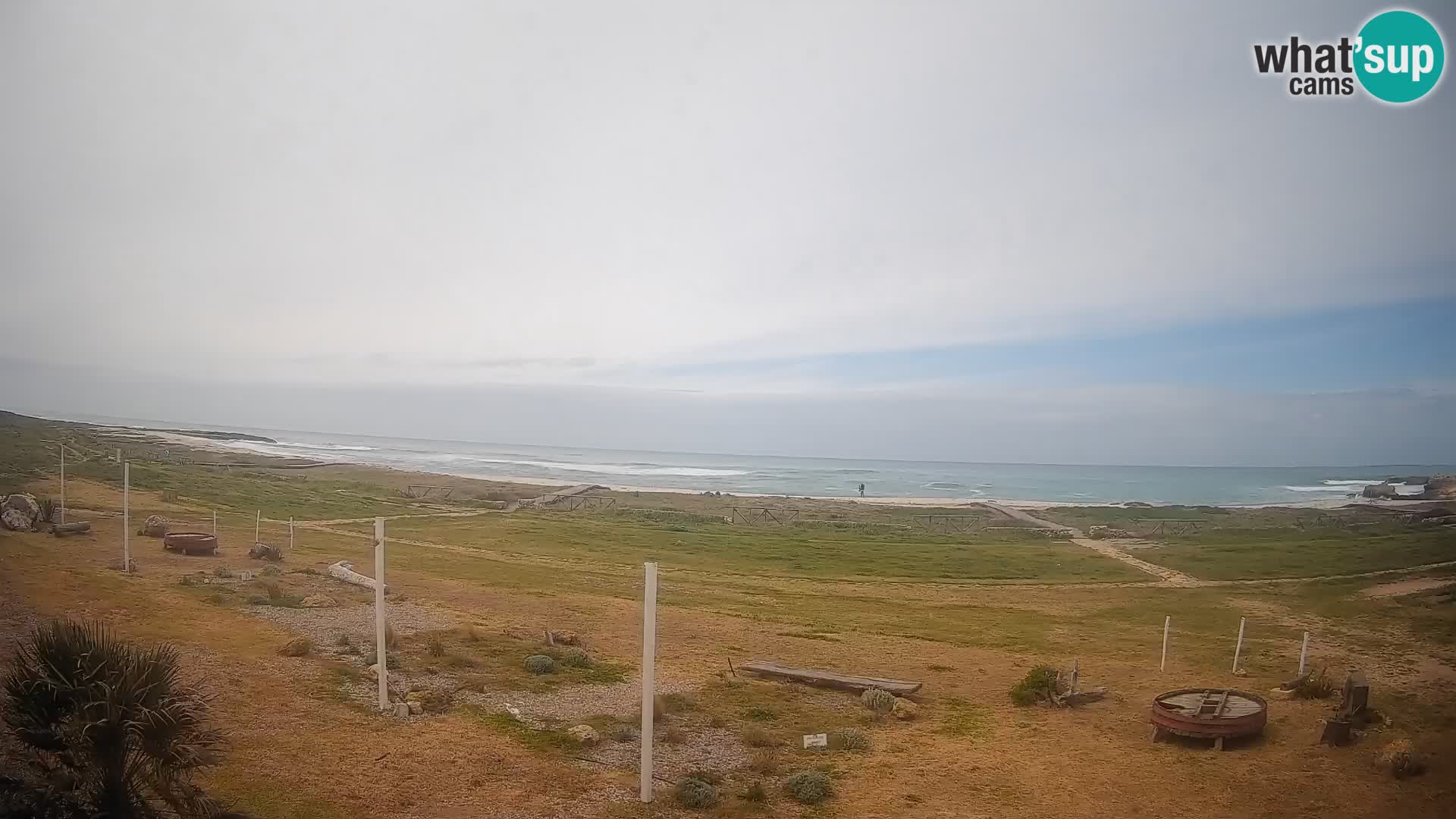 Is Arutas webcam beach | Oristano – Sardinia