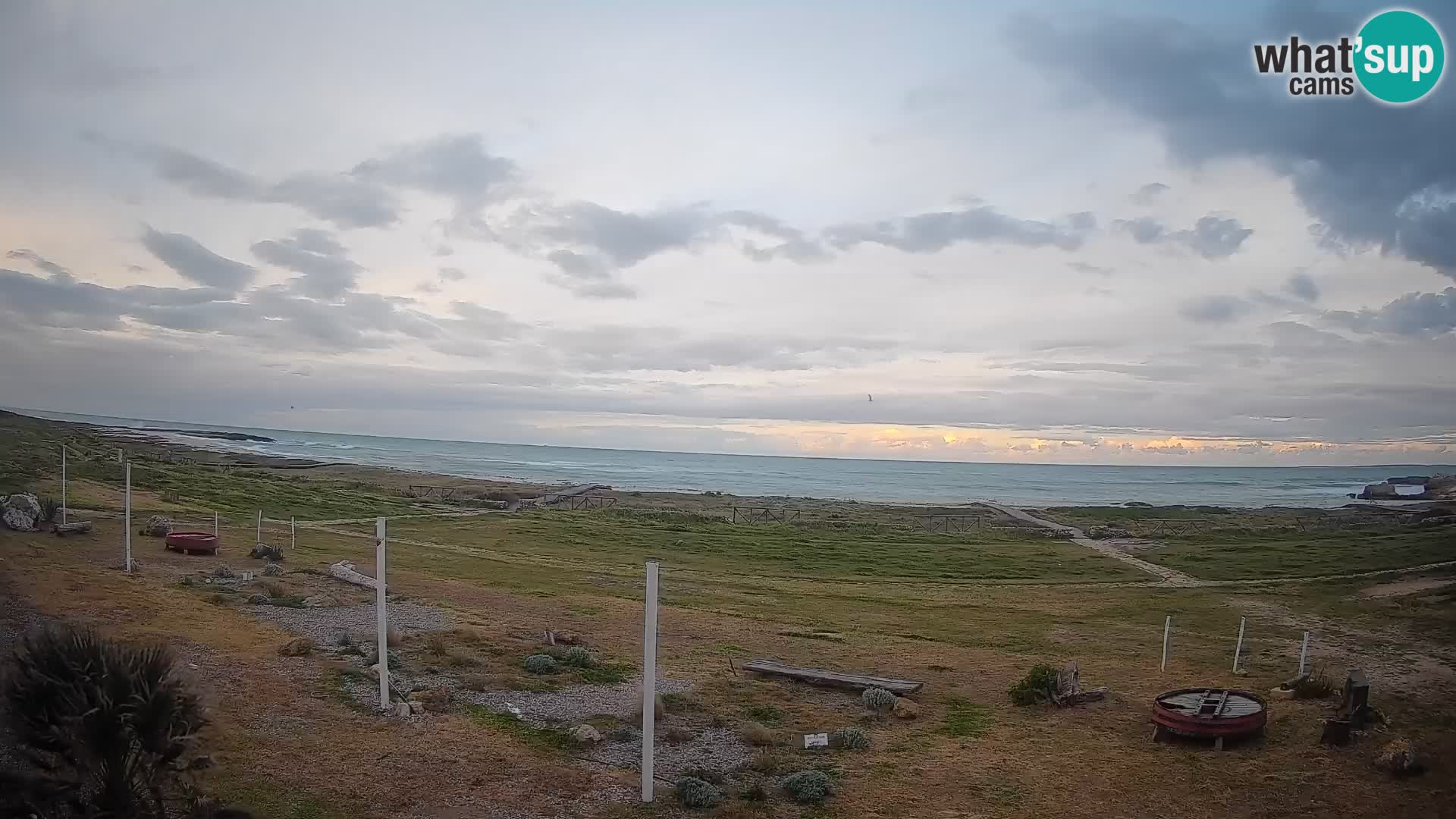 Is Arutas webcam beach | Oristano – Sardinia