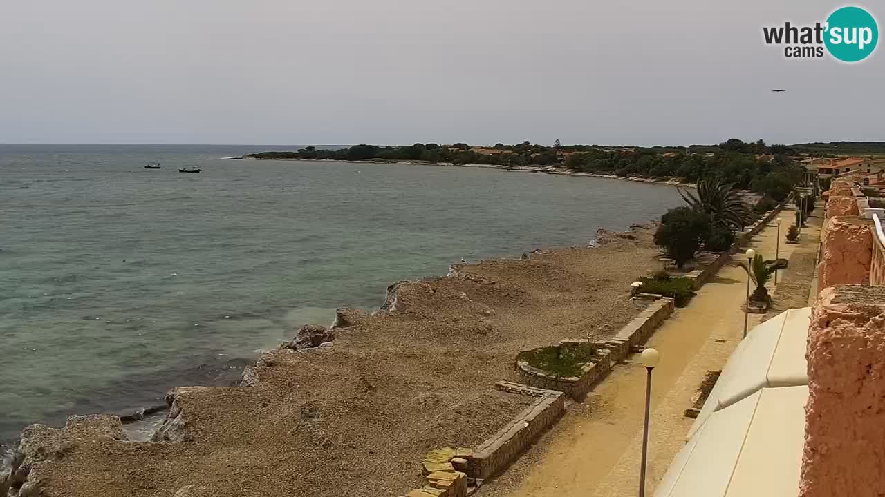 Livecam Cala Saline – Plage Putzu Idu | Sardaigne