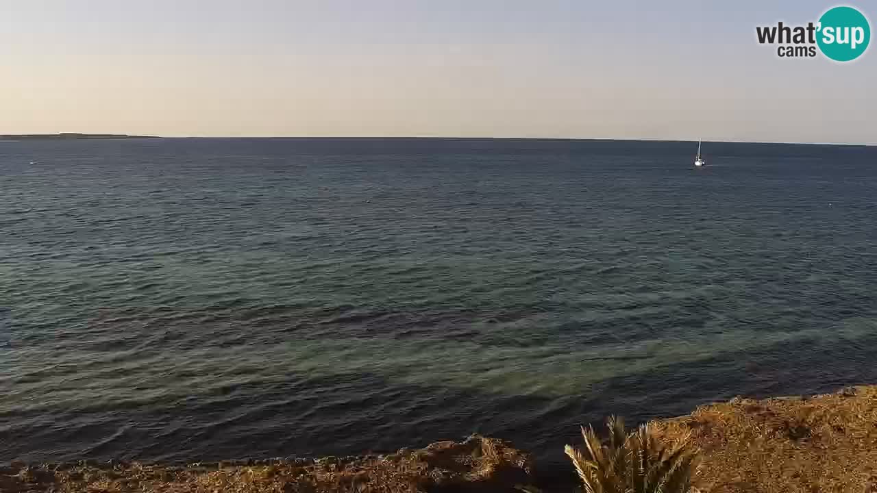 Putzu Idu Webcam Cala Saline | Sardegna