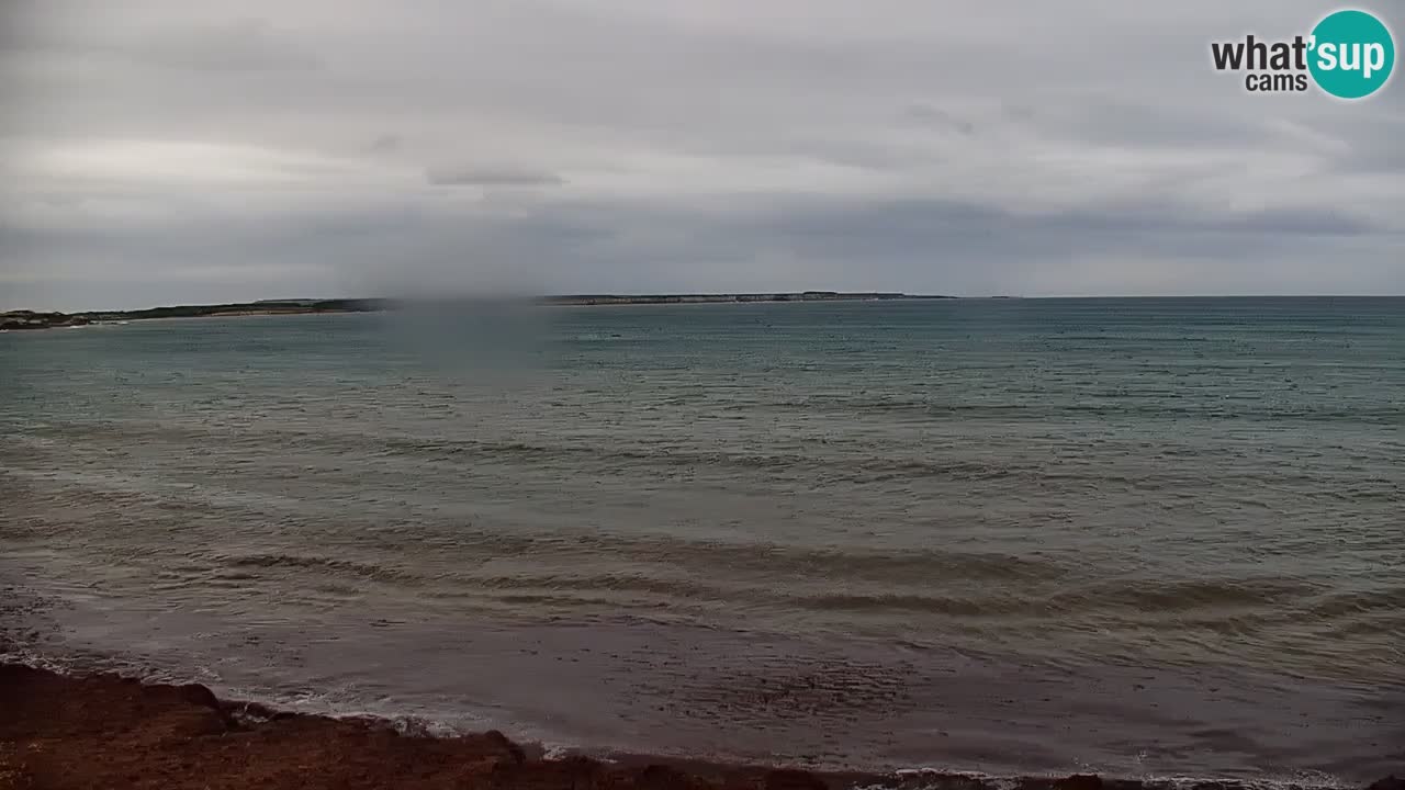 Spletna kamera Cala Saline – Plaža Putzu Idu | Sardinija