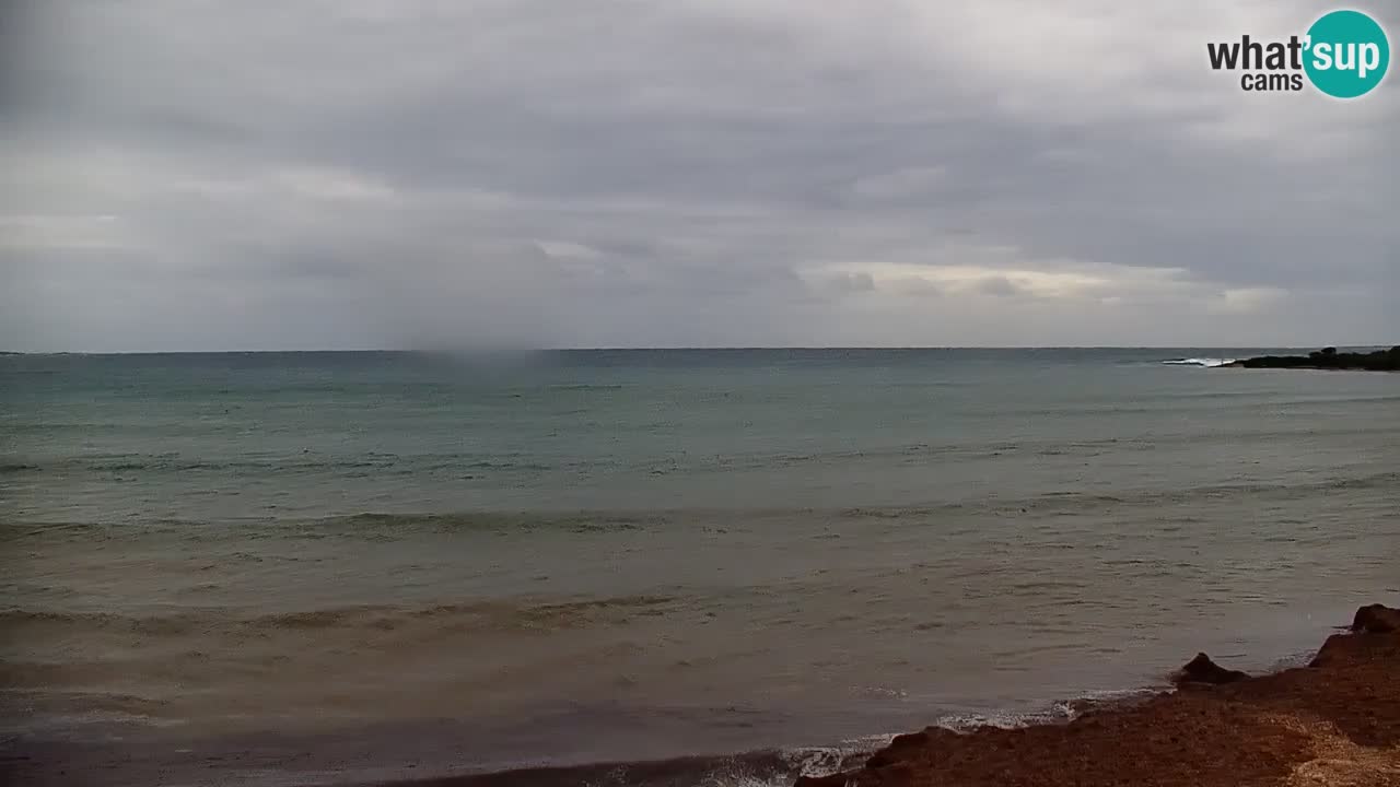 Webcam en vivo Cala Saline – Playa Putzu Idu | Cerdeña