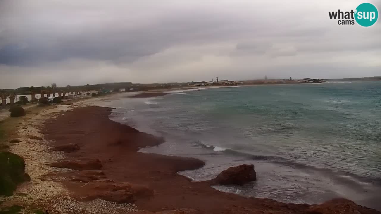 Webcam en vivo Cala Saline – Playa Putzu Idu | Cerdeña