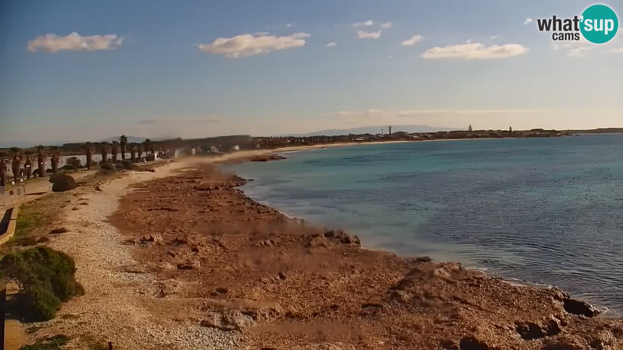 Livecam Putzu Idu – Cala Saline | Sardinia