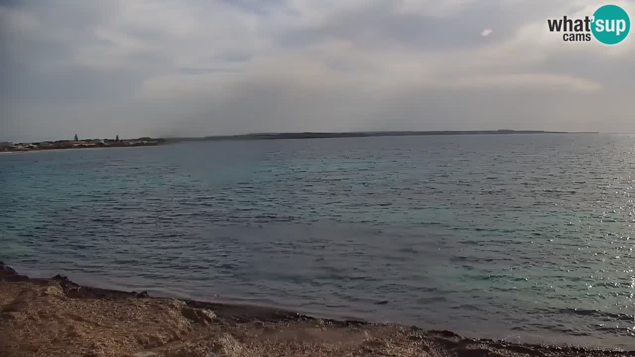 Putzu Idu Webcam Cala Saline | Sardegna