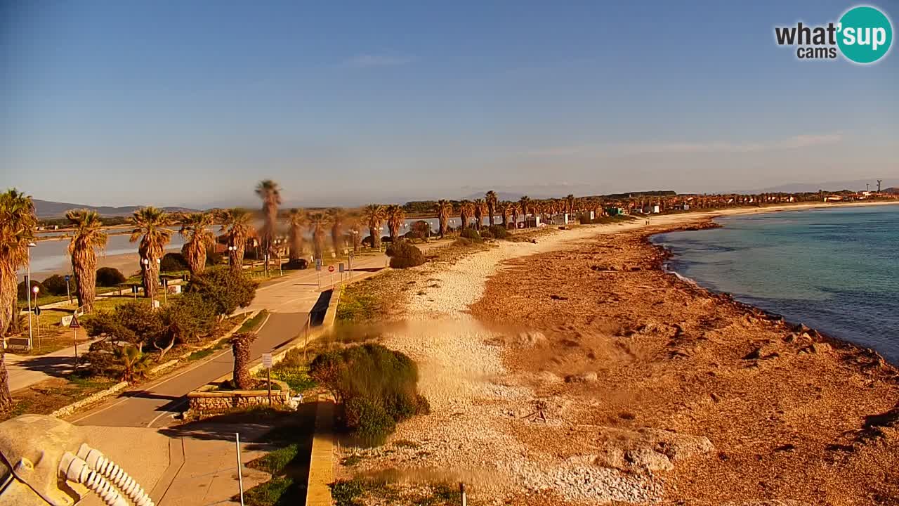 Livecam Cala Saline – Plage Putzu Idu | Sardaigne