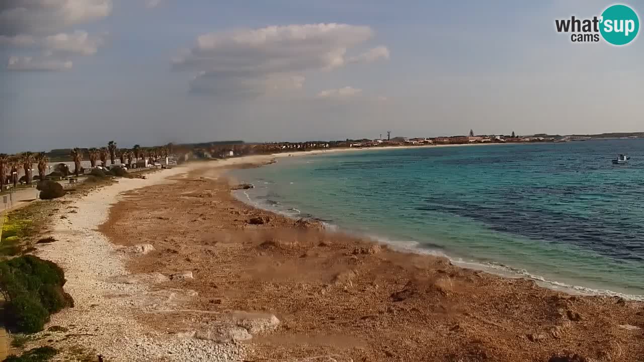 Livecam Putzu Idu – Cala Saline | Sardinia