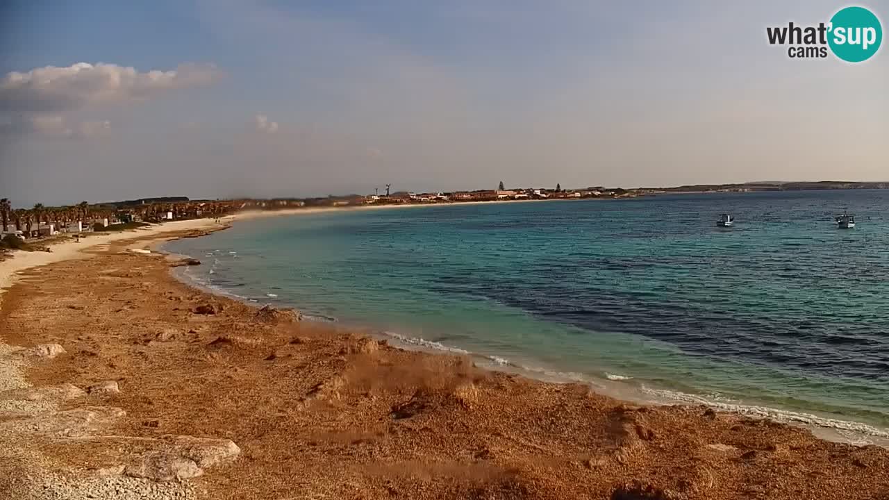 Spletna kamera Cala Saline – Plaža Putzu Idu | Sardinija