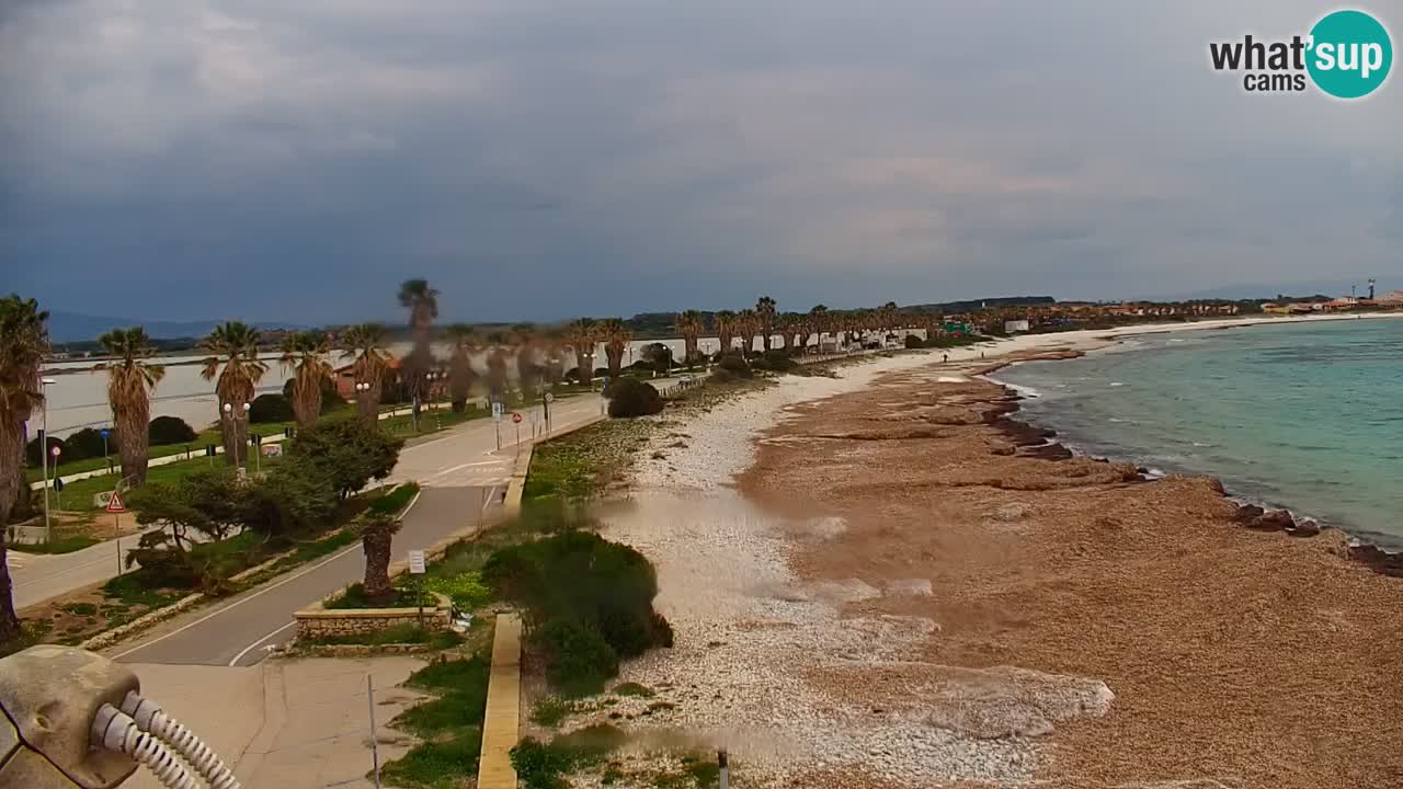 Webcam en vivo Cala Saline – Playa Putzu Idu | Cerdeña