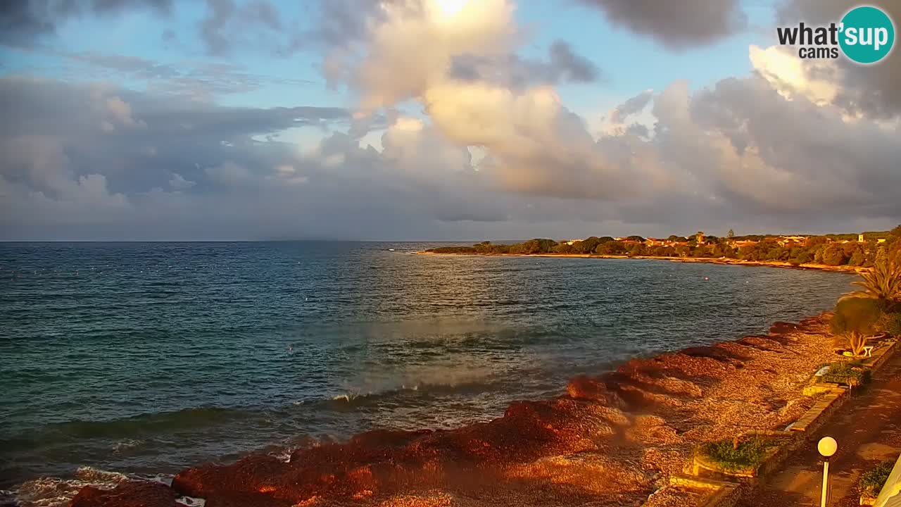 Webcam en vivo Cala Saline – Playa Putzu Idu | Cerdeña