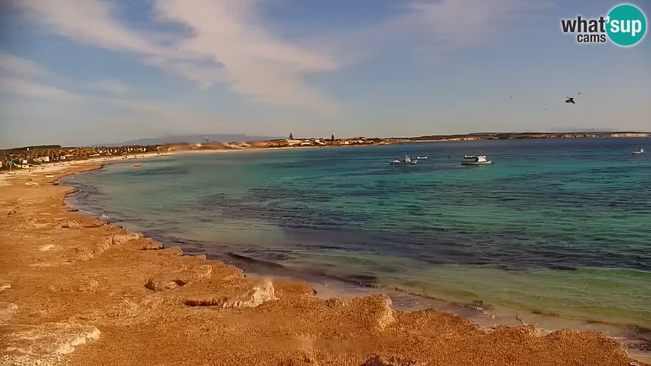 Web Kamera Cala Saline – plaža Putzu Idu | Sardinija