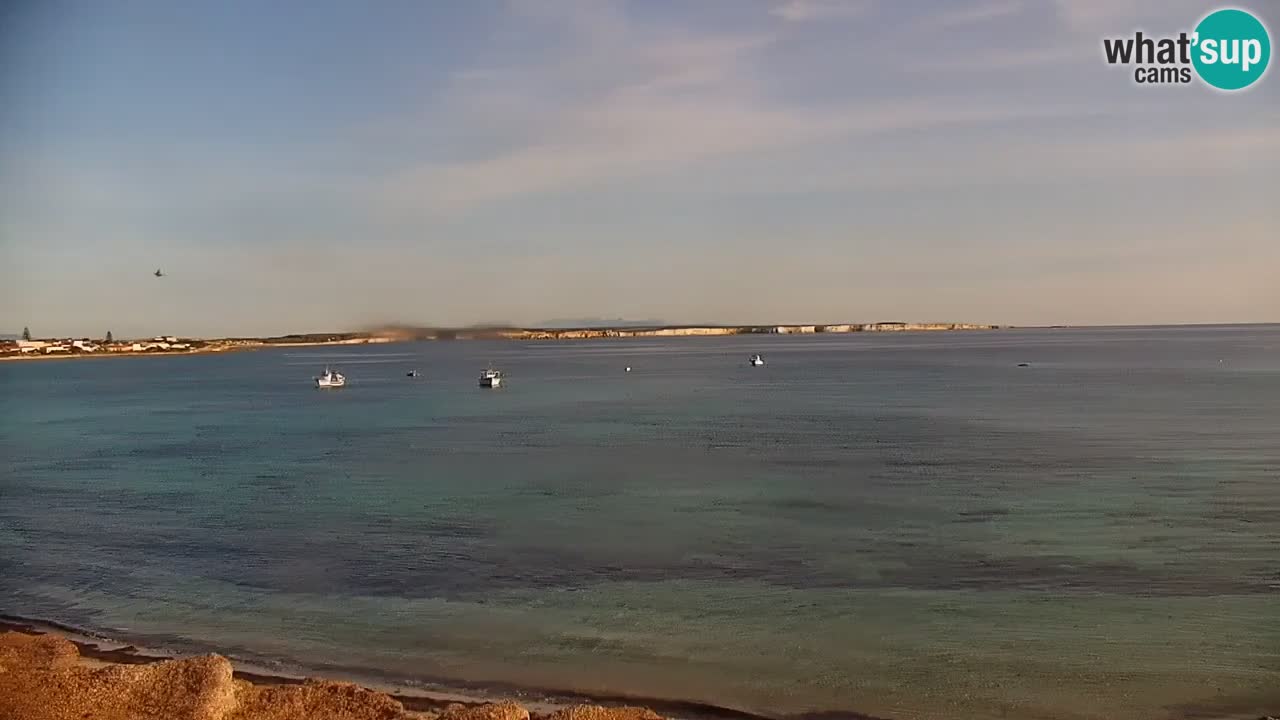 Putzu Idu Webcam Cala Saline | Sardegna