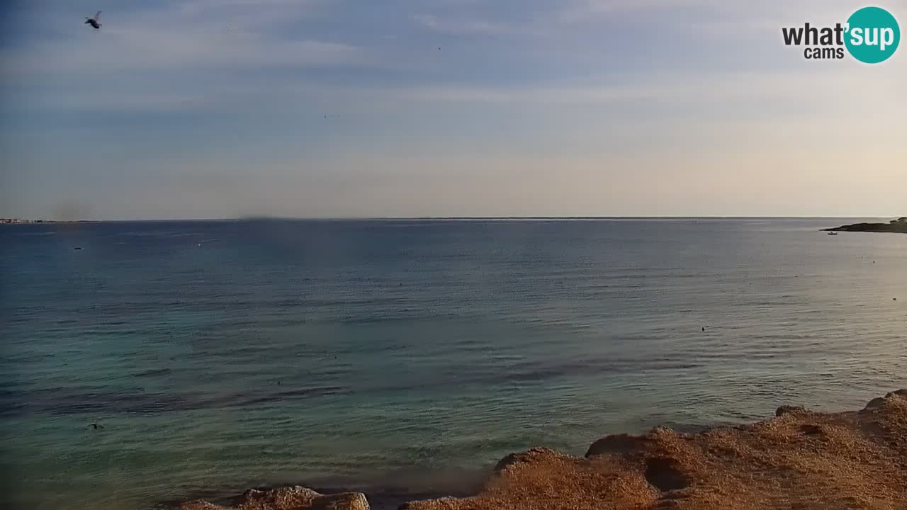 Livecam Putzu Idu – Cala Saline | Sardinia