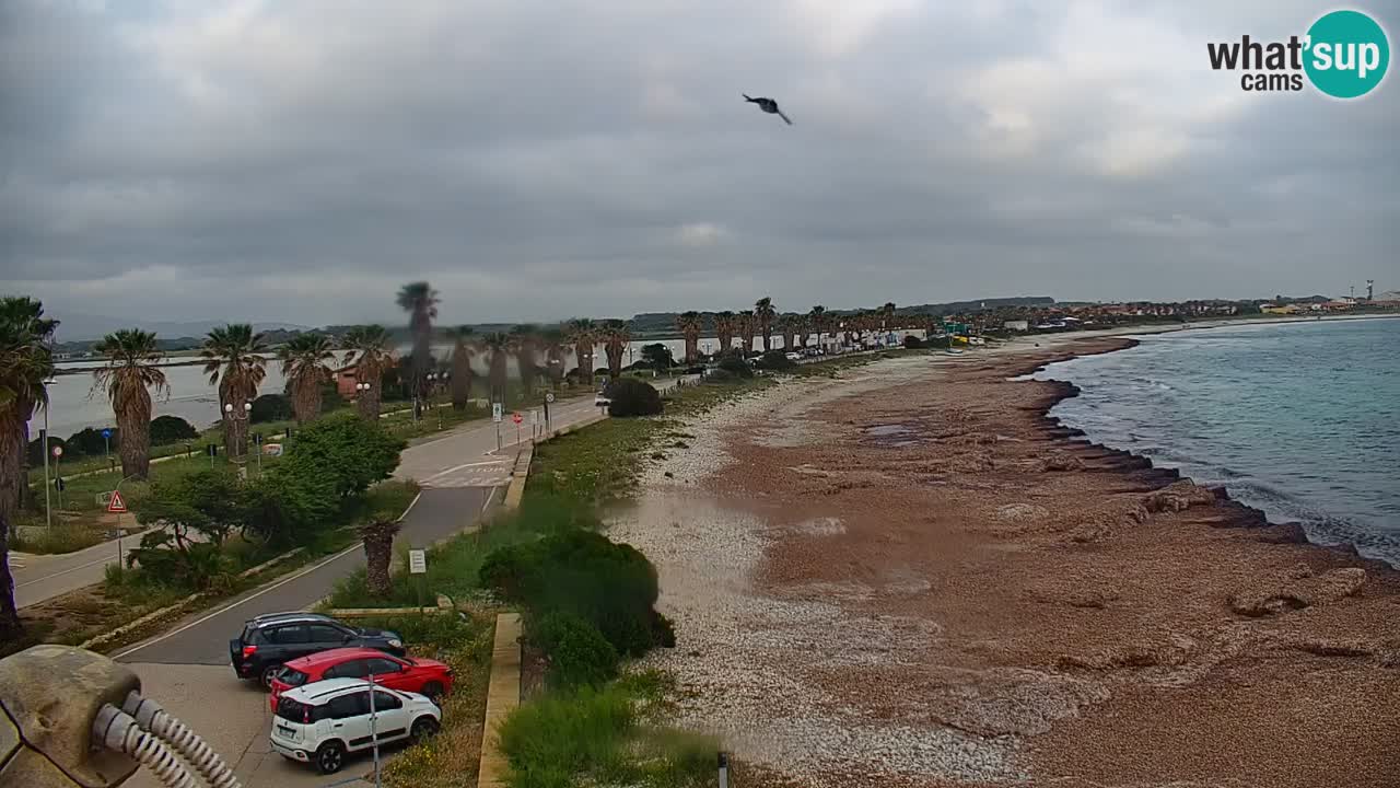 Livecam Cala Saline – Plage Putzu Idu | Sardaigne