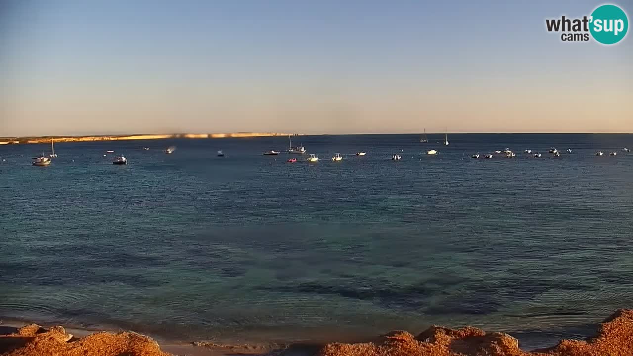 Livecam Cala Saline – Plage Putzu Idu | Sardaigne