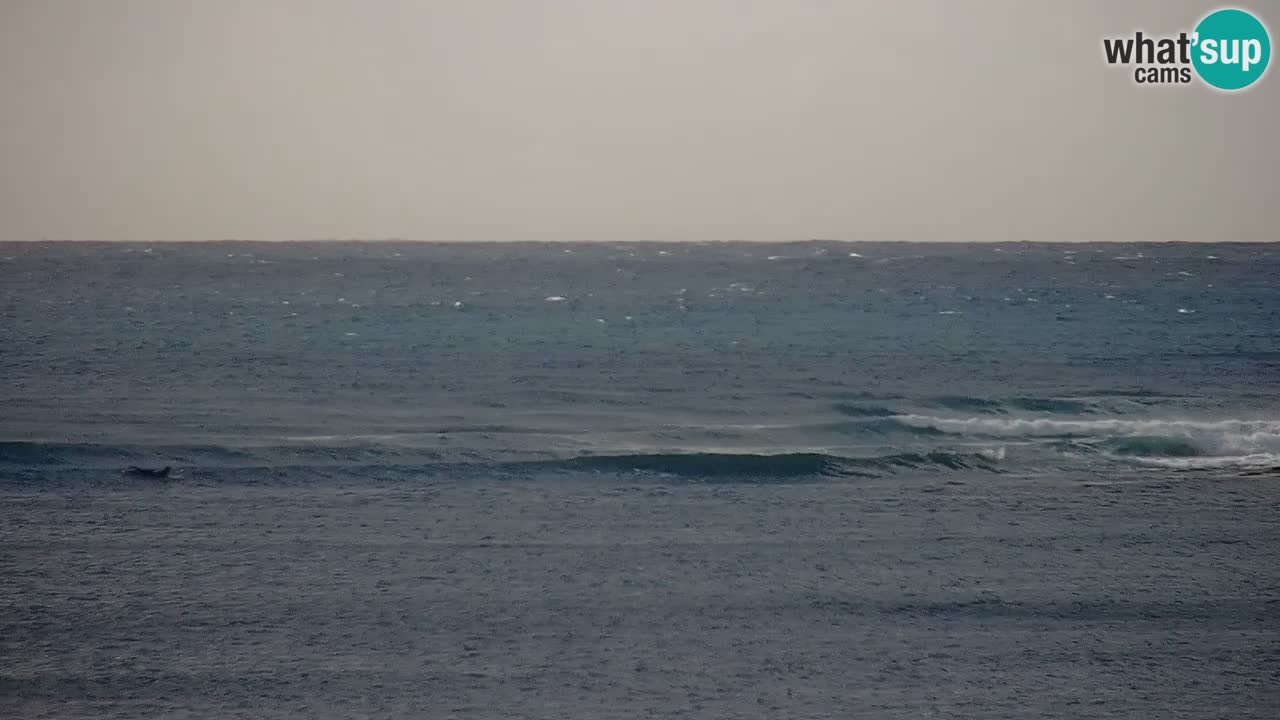 Livecam Putzu Idu – Cala Saline | Sardinia