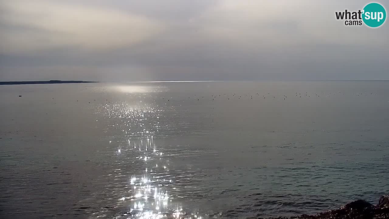 Putzu Idu Webcam Cala Saline | Sardegna