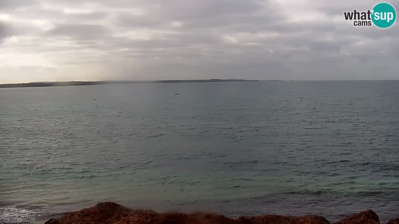 Livecam Cala Saline – Plage Putzu Idu | Sardaigne