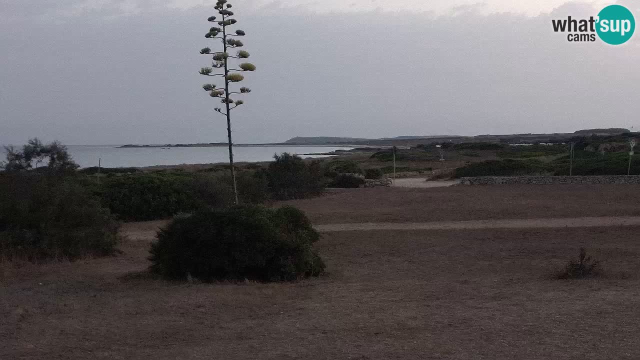 Mari Ermi beach | Is Arutas – Oristano