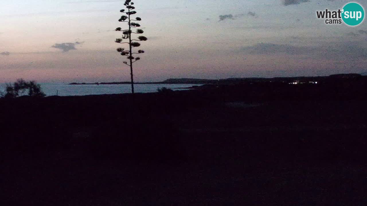 Mari Ermi beach | Is Arutas – Oristano