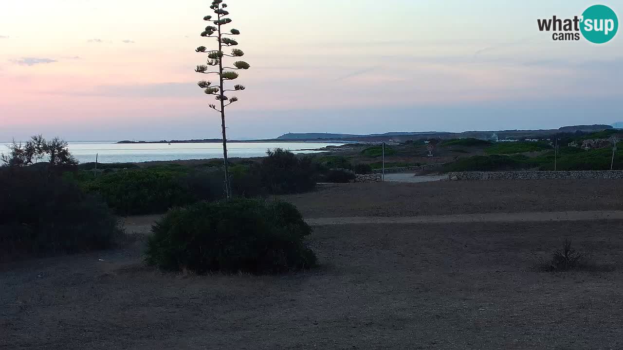 Mari Ermi beach | Is Arutas – Oristano