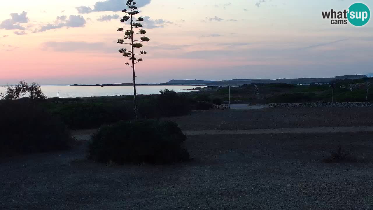 Plaža Mari Ermi | Is Arutas – Oristano