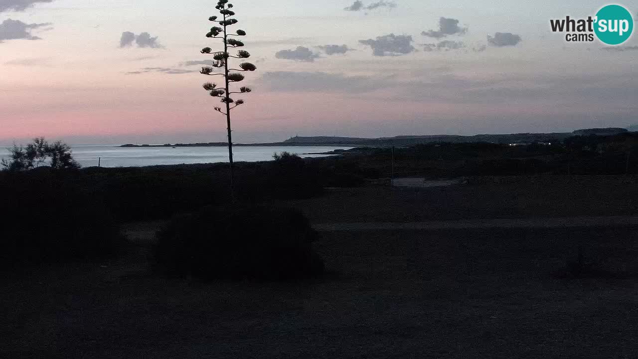 Plaža Mari Ermi | Is Arutas – Oristano