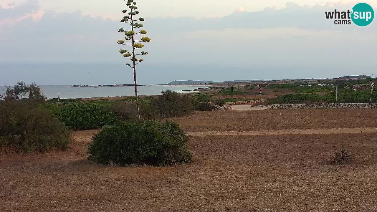 Mari Ermi Strand | Is Arutas – Oristano