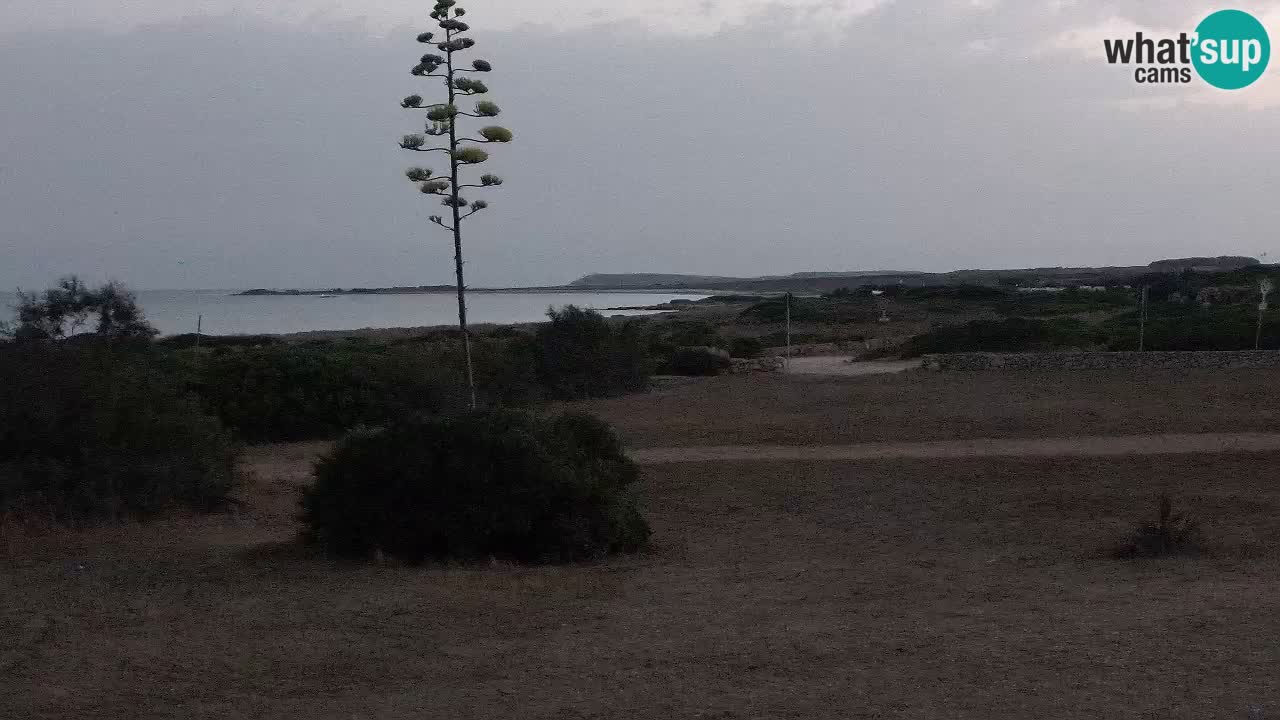 Spiaggia Mari Ermi | Is Arutas – Oristano