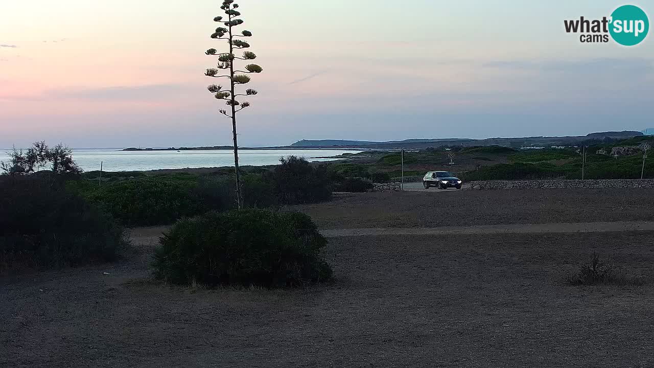 Mari Ermi beach | Is Arutas – Oristano
